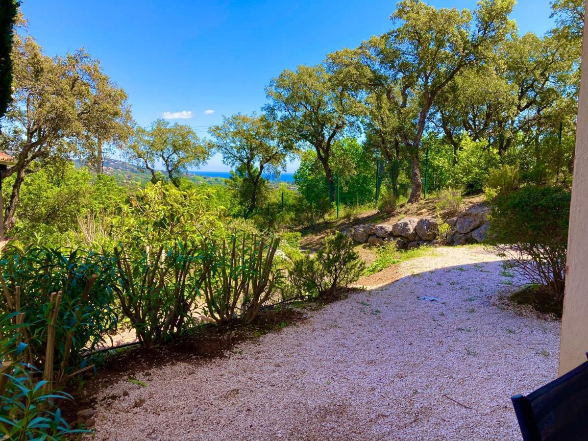 Les Restanques Glycines 2067 Grimaud